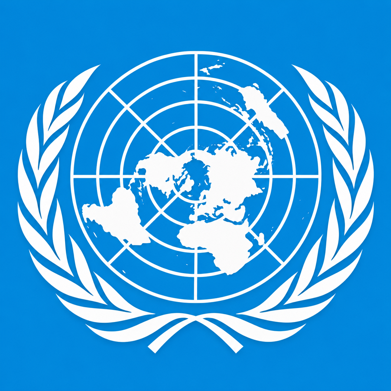 United Nations Project